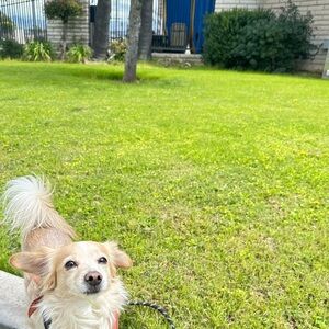 Meet your Posher, Nadia